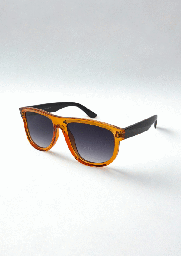 Amber & Black Wayfarer Sunglasses