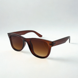 Glossy Brown Wayfarer Sunglasses