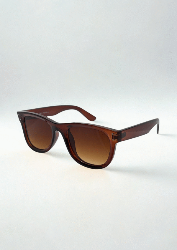 Glossy Brown Wayfarer Sunglasses