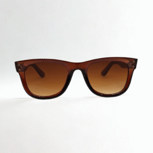 Glossy Brown Wayfarer Sunglasses