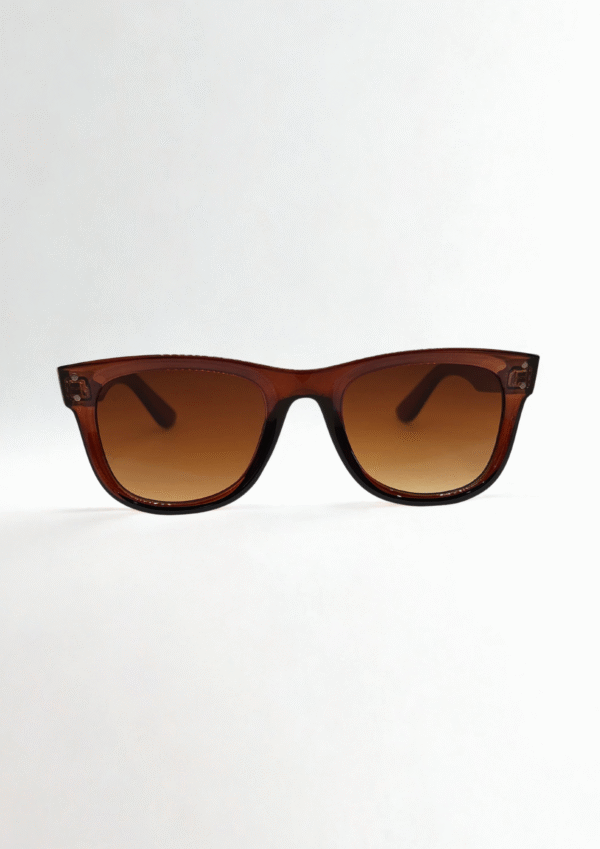 Glossy Brown Wayfarer Sunglasses - Image 2