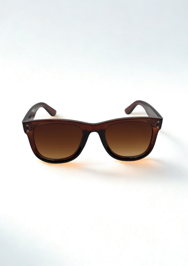 Glossy Brown Wayfarer Sunglasses - Image 3
