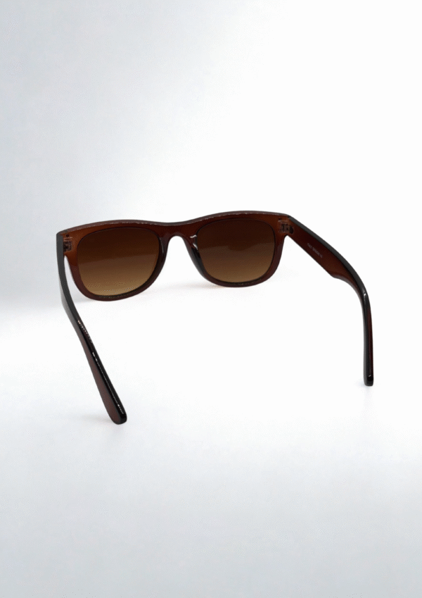 Glossy Brown Wayfarer Sunglasses - Image 5