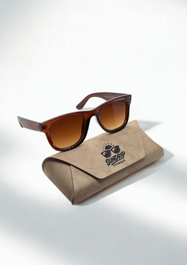 Glossy Brown Wayfarer Sunglasses - Image 6