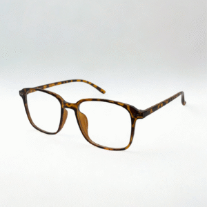 TortoiseShell Retro Square Eyeglasses